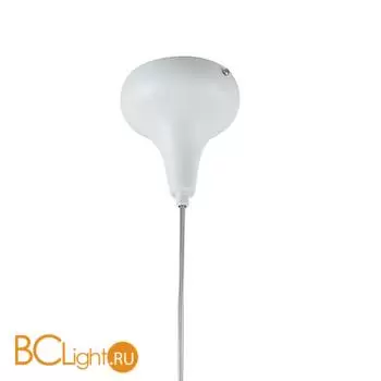 Подвесной светильник Favourite Taddy Bears 2449-1P - Фото 1